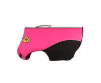Body Glove Neoprene Pet Life Jacket