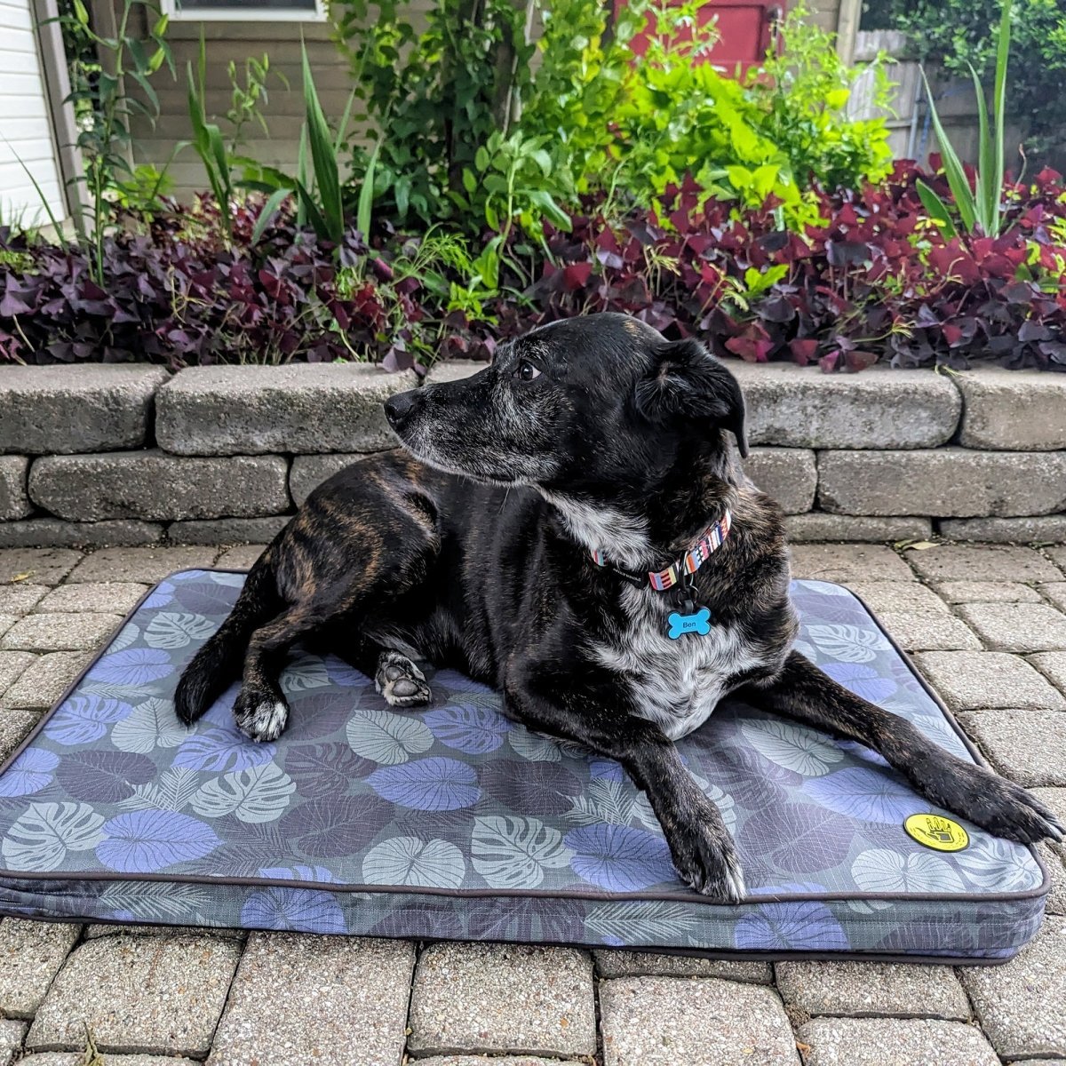 Body Glove Sun & Sand Tough Mat - Washable Dog Bed