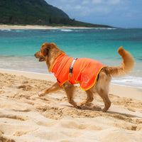 Body Glove Surf Pet Towel Robe