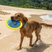 Body Glove Tough Toss Disc - Fetch Disk Toy For Dogs
