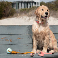 Body Glove Tough Tug Toy - Rope Toy For Dogs