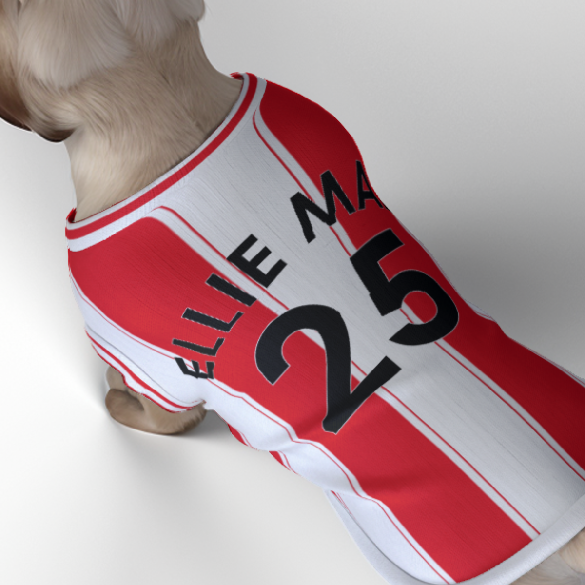 Brentford FC 25/26 Home Kit Inspired Personalized Tank