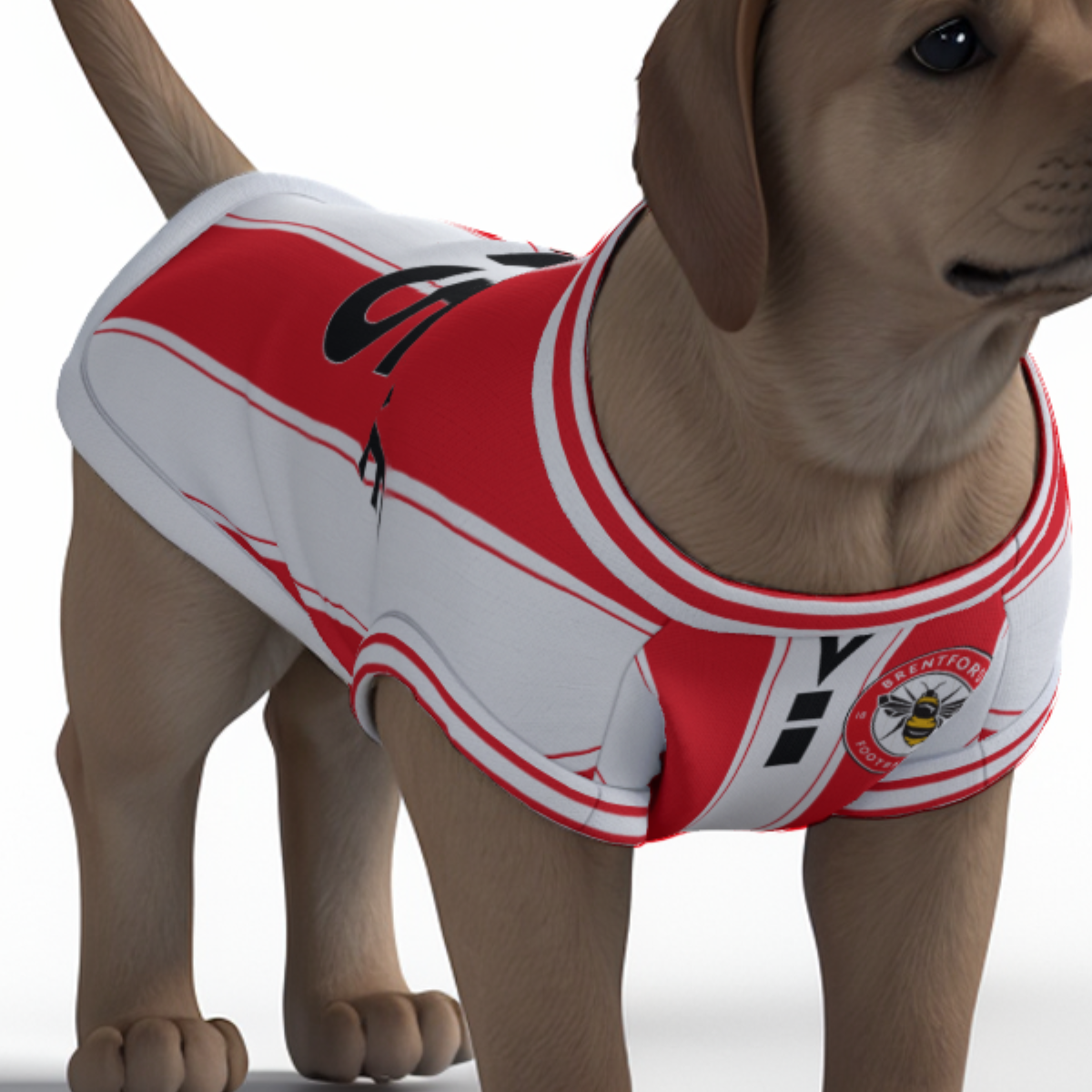 Brentford FC 25/26 Home Kit Inspired Personalized Tank