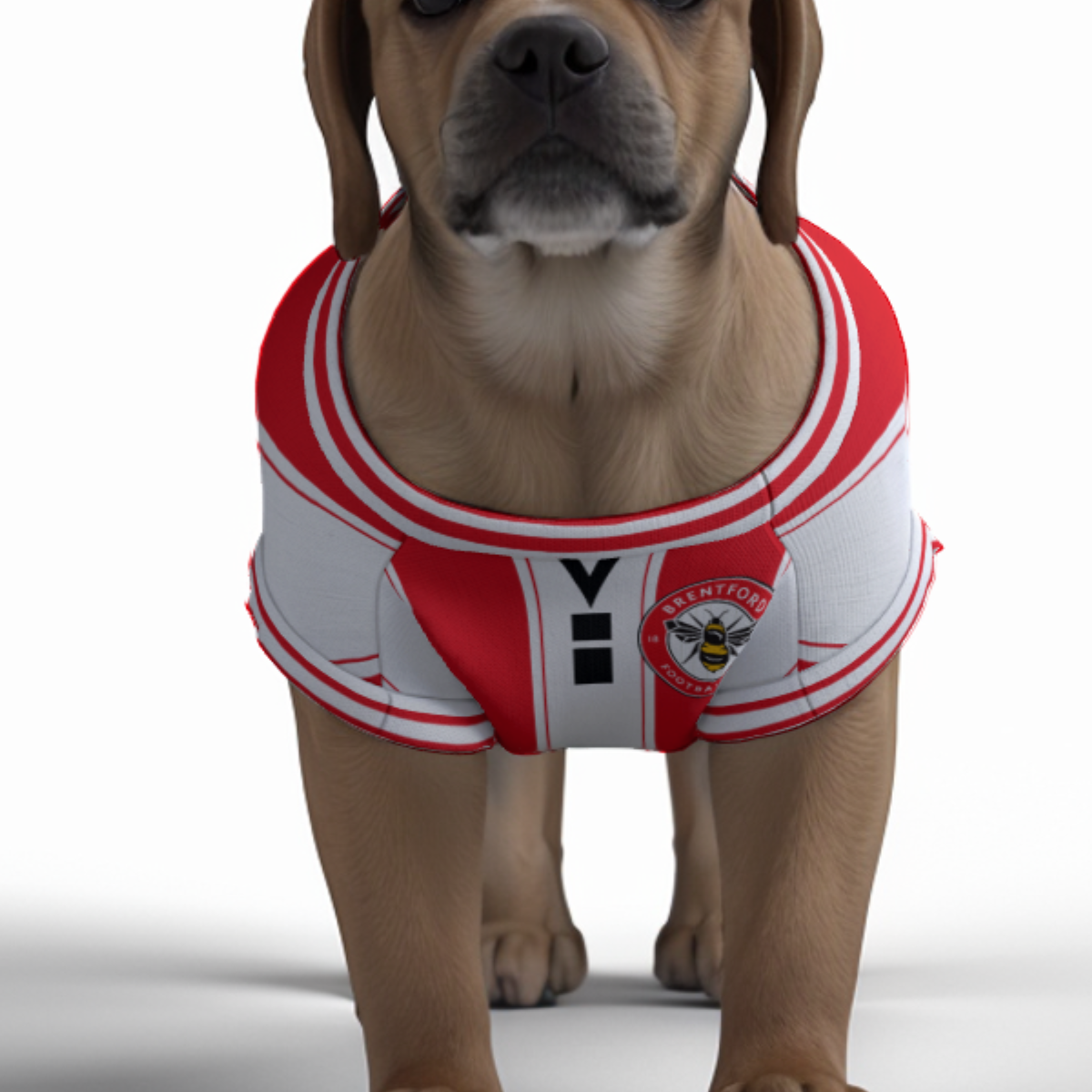 Brentford FC 25/26 Home Kit Inspired Personalized Tank