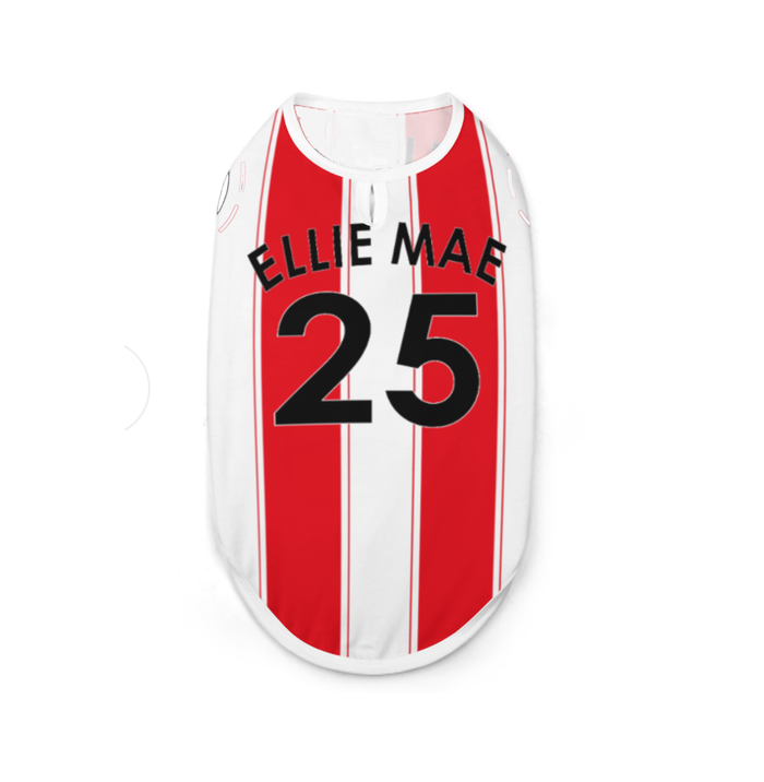 Brentford FC 25/26 Home Kit Inspired Personalized Tank