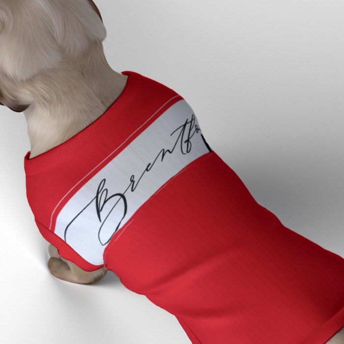 Brentford FC 25/26 Home Inspired Pet Graphic Tee Shirt (Sizes XS-Small)
