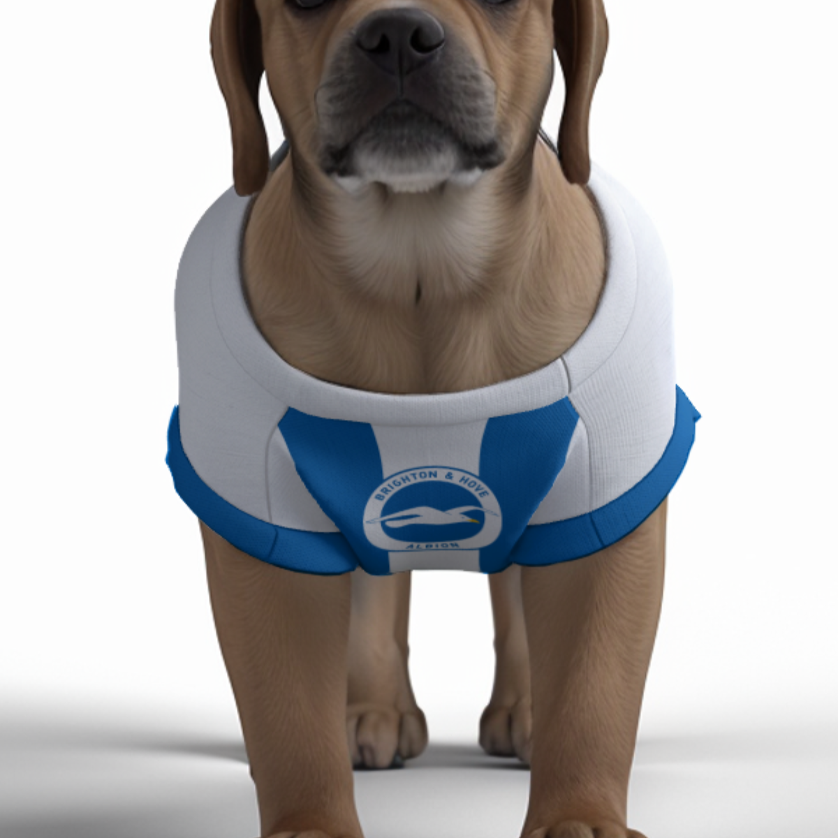 Brighton & Hove Albion FC 25/26 Home Kit-Inspired Personalized Tank