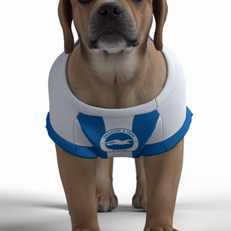 Brighton & Hove Albion FC 25/26 Home Kit-Inspired Personalized Tank