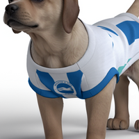 Brighton & Hove Albion FC 25/26 Home Kit-Inspired Personalized Tank