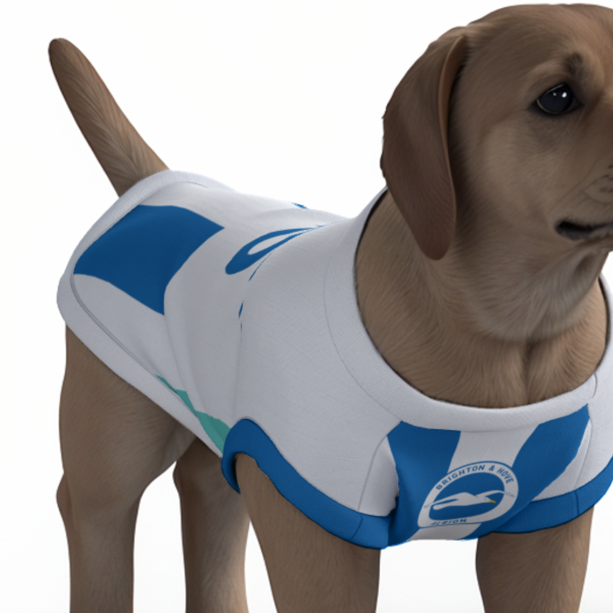 Brighton & Hove Albion FC 25/26 Home Kit-Inspired Personalized Tank