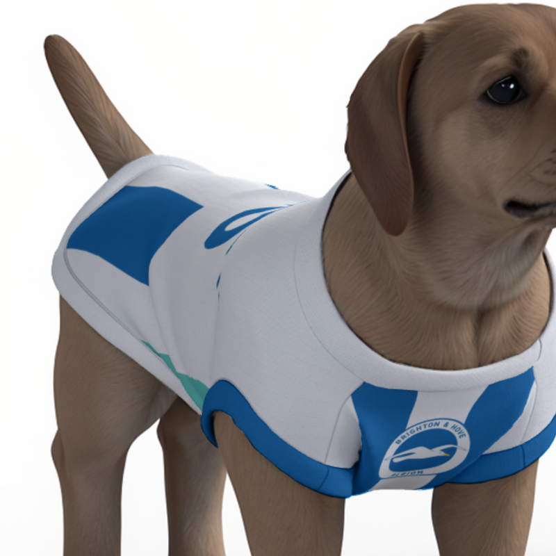 Brighton & Hove Albion FC 25/26 Home Kit-Inspired Personalized Tank