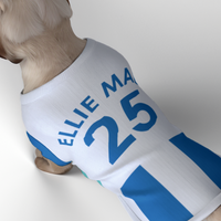 Brighton & Hove Albion FC 25/26 Home Kit-Inspired Personalized Tank