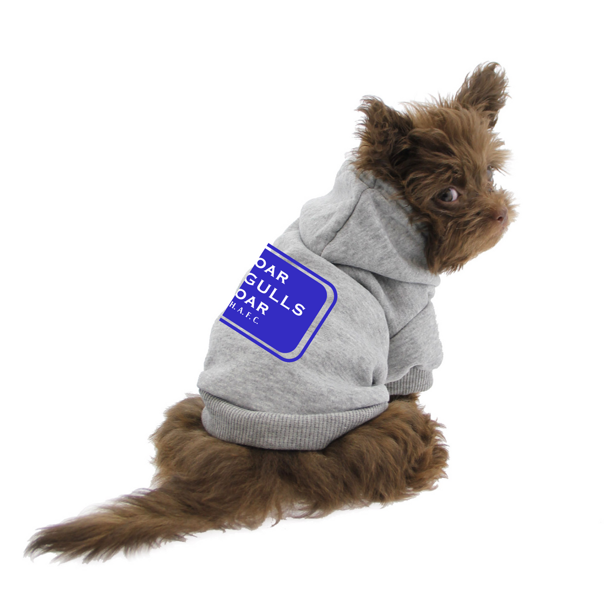 Brighton & Hove Albion FC Pet Hoodies