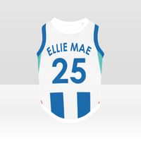 Brighton & Hove Albion FC 25/26 Home Kit-Inspired Personalized Tank