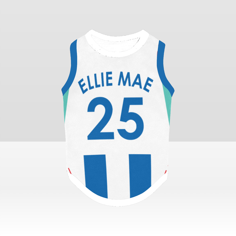 Brighton & Hove Albion FC 25/26 Home Kit-Inspired Personalized Tank
