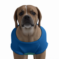 Brighton & Hove Albion FC 25/26 Home Inspired Pet Graphic Tee Shirt (Sizes XS-Small)