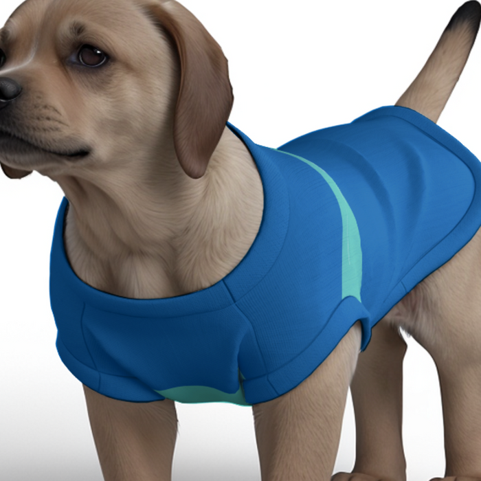 Brighton & Hove Albion FC 25/26 Home Inspired Pet Graphic Tee Shirt (Sizes XS-Small)