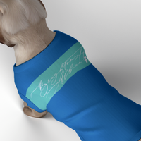 Brighton & Hove Albion FC 25/26 Home Inspired Pet Graphic Tee Shirt (Sizes XS-Small)