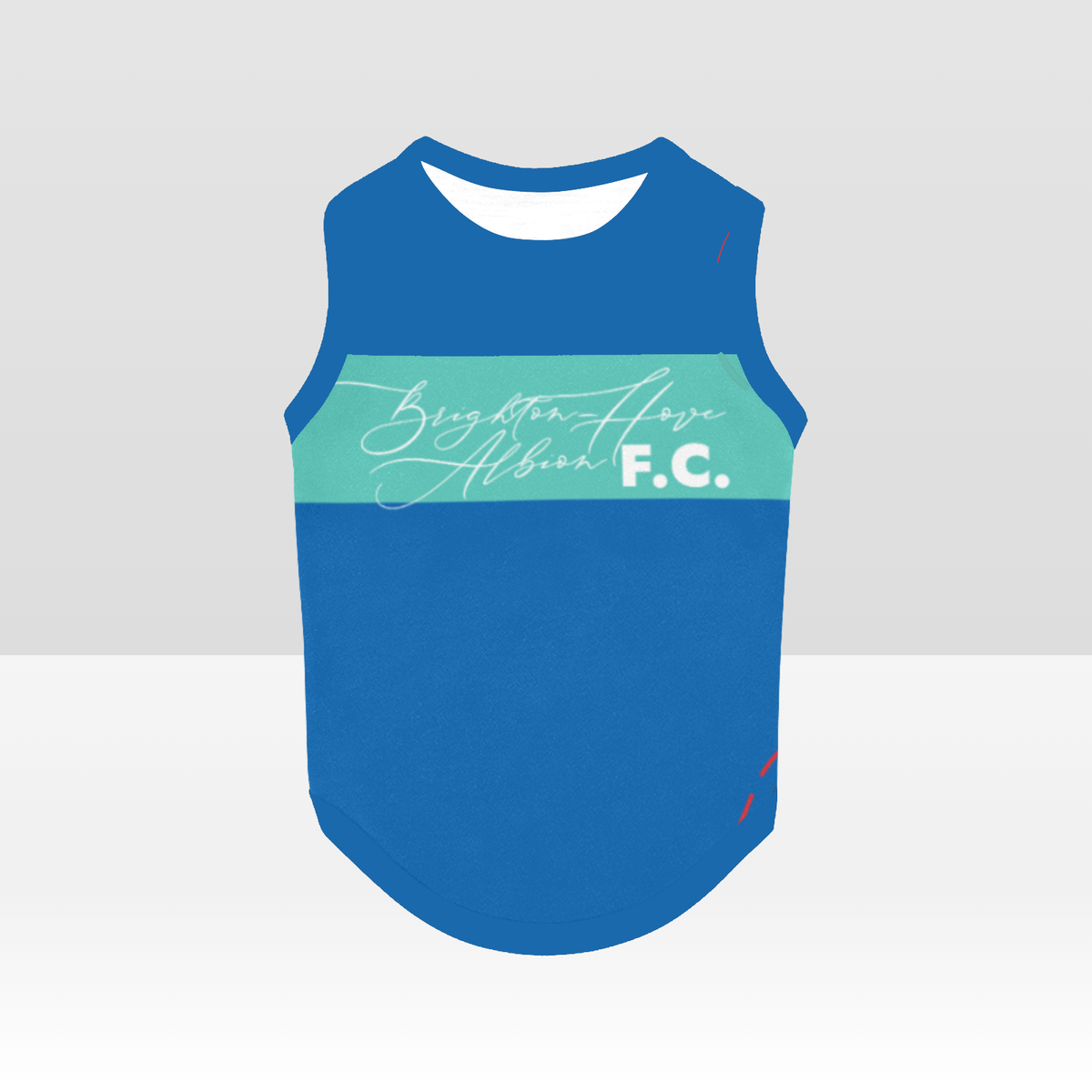 Brighton & Hove Albion FC 25/26 Home Inspired Pet Graphic Tee Shirt (Sizes XS-Small)