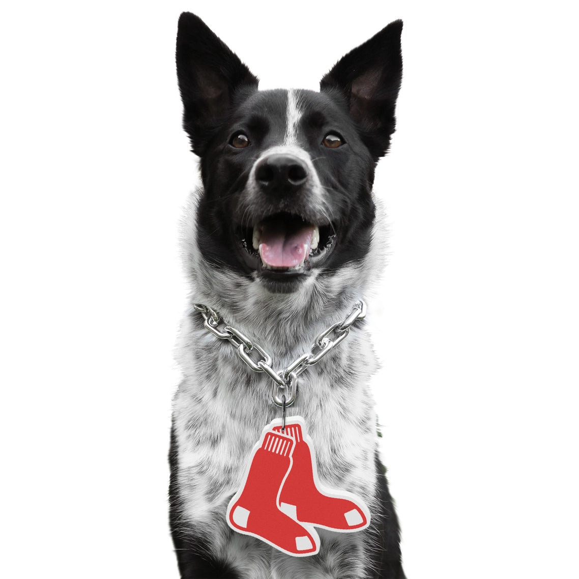 Boston Red Sox Pet Fan Chain