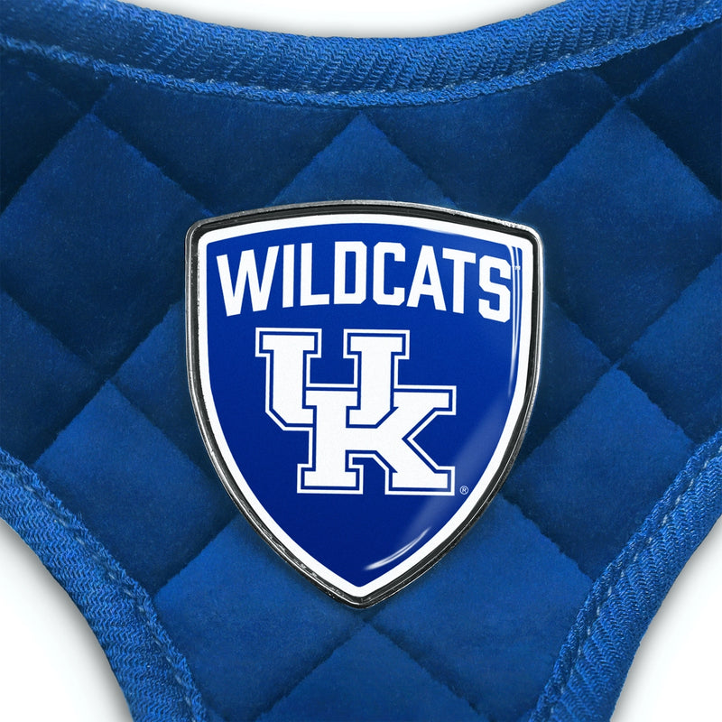 KY Wildcats Velvet Harness