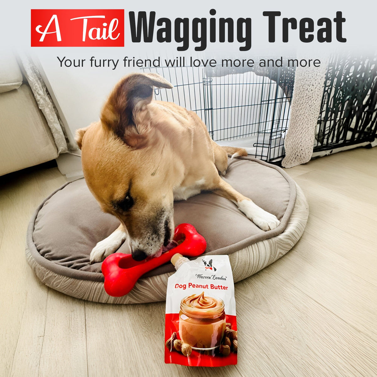 Dog Peanut Butter