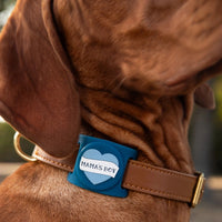 Mama's Boy AirTag Holder