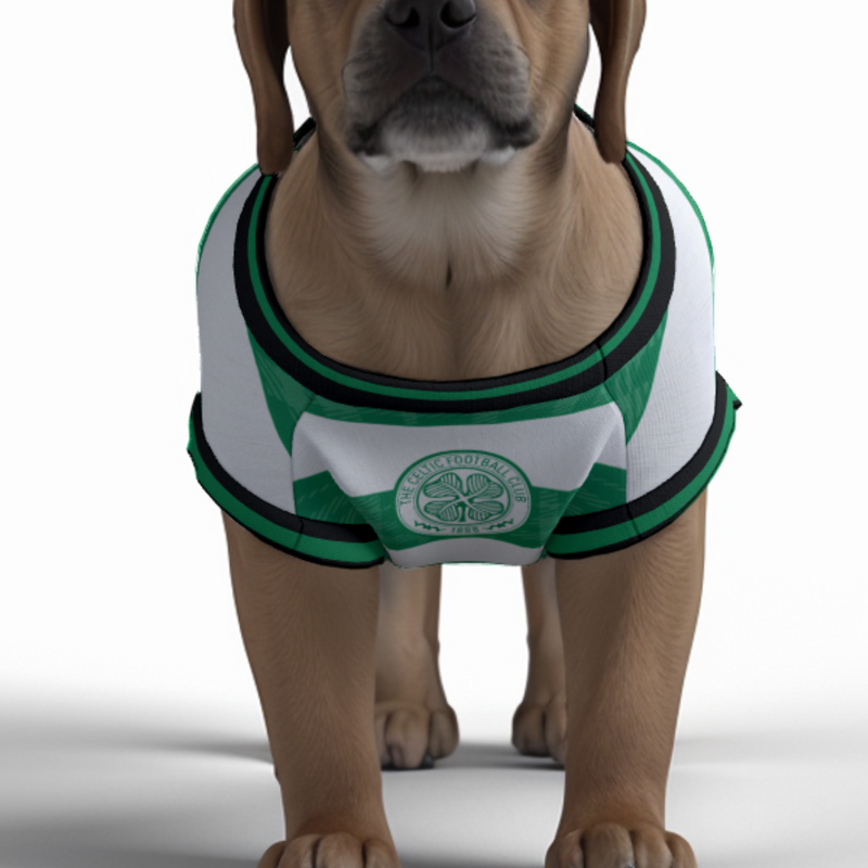 Celtic FC 25/26 Home Kit Inspired Personalized Tank