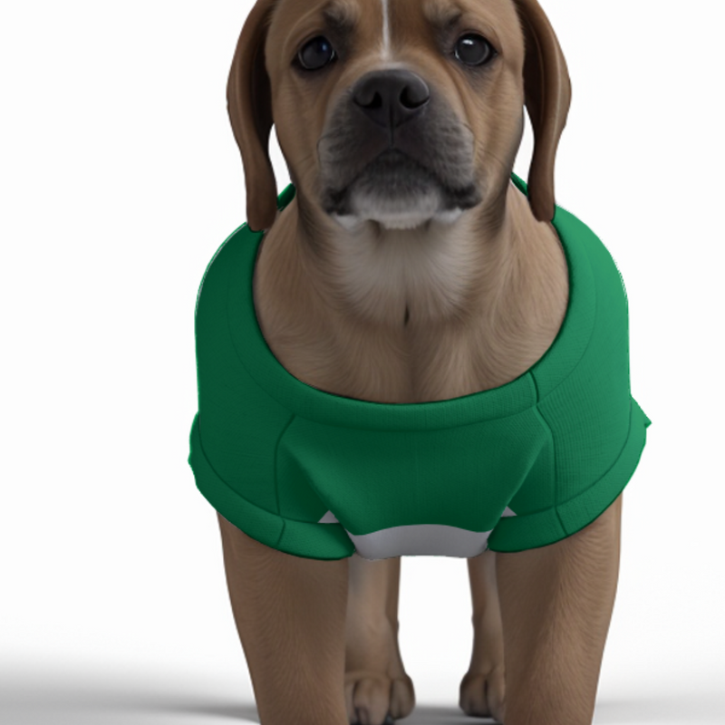 Celtic FC 25/26 Home Inspired Pet Graphic Tee Shirt (Sizes XS-Small)