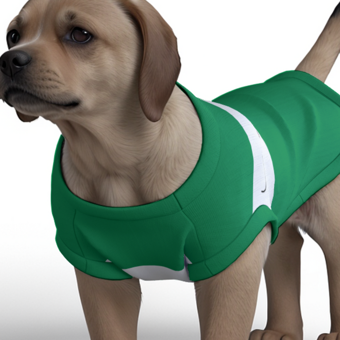 Celtic FC 25/26 Home Inspired Pet Graphic Tee Shirt (Sizes XS-Small)
