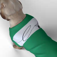 Celtic FC 25/26 Home Inspired Pet Graphic Tee Shirt (Sizes XS-Small)