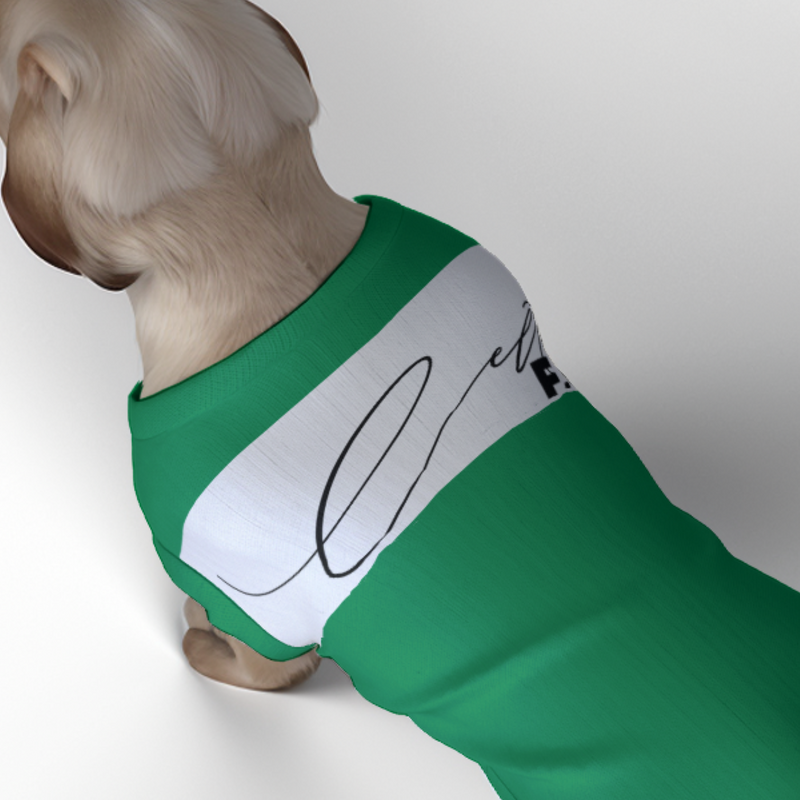 Celtic FC 25/26 Home Inspired Pet Graphic Tee Shirt (Sizes XS-Small)