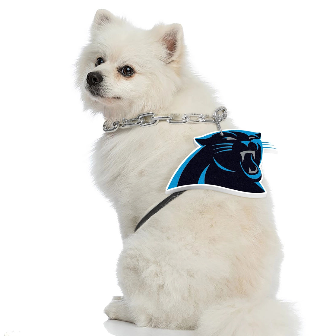 Carolina Panthers Pet Fan Chain