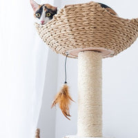 Walk Up Natural Aesthetic Handwoven 2 Level Cat Tree