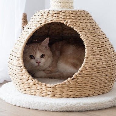 Walk Up Natural Aesthetic Handwoven 2 Level Cat Tree