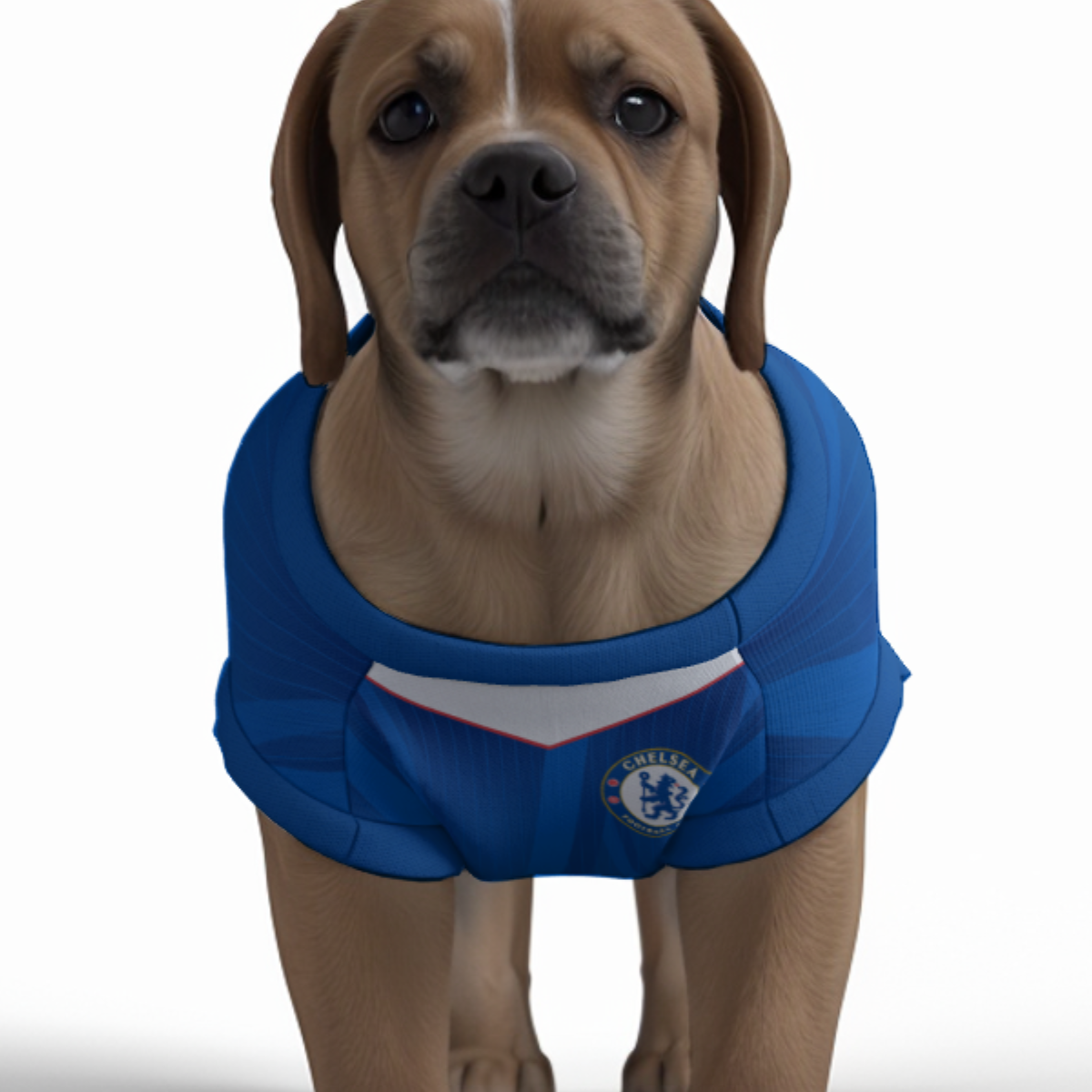 Chelsea FC 25/26 Home Kit Inspired Personalized Tank
