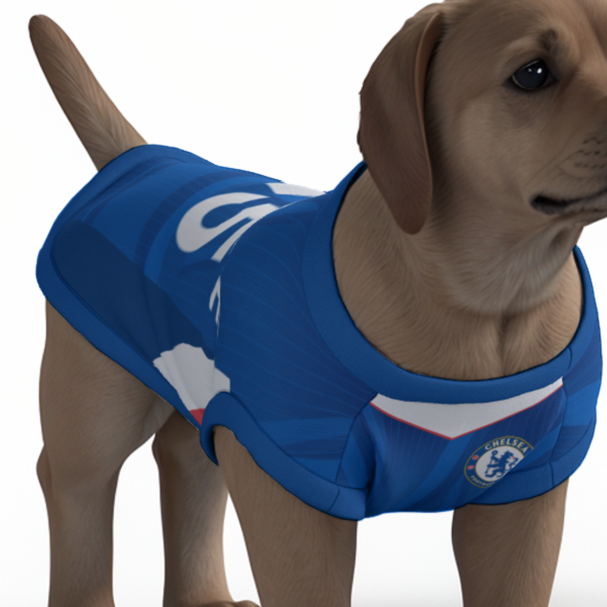 Chelsea FC 25/26 Home Kit Inspired Personalized Tank