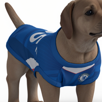Chelsea FC 25/26 Home Kit Inspired Personalized Tank