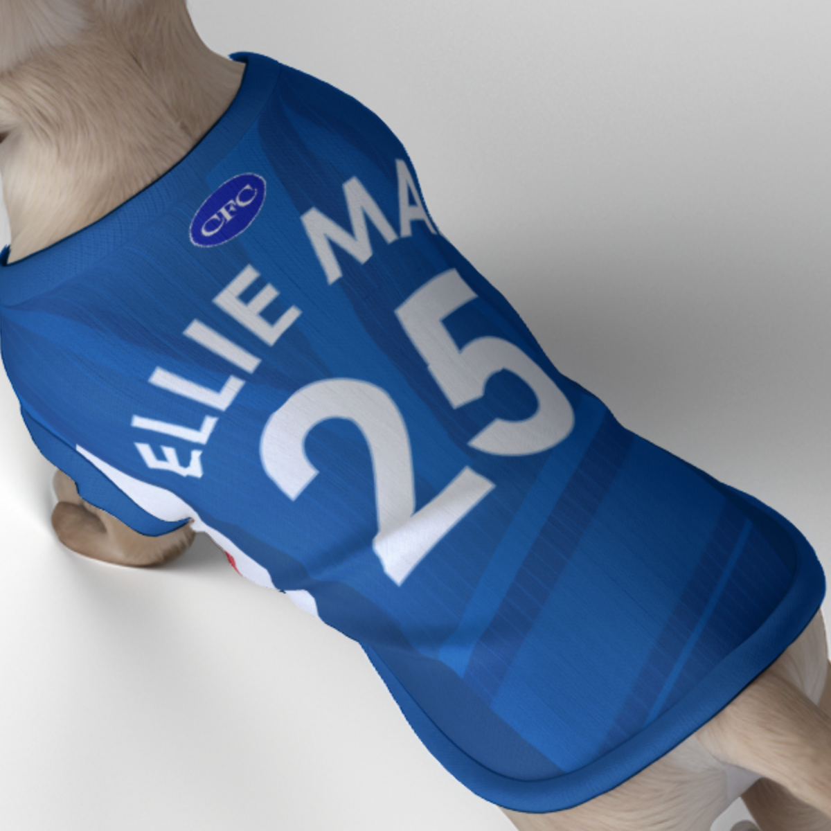 Chelsea FC 25/26 Home Kit Inspired Personalized Tank