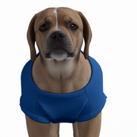 Chelsea FC 25/26 Home Inspired Pet Graphic Tee Shirt (Sizes XS-Small)