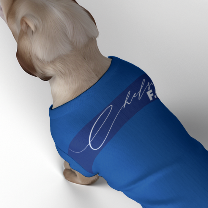 Chelsea FC 25/26 Home Inspired Pet Graphic Tee Shirt (Sizes XS-Small)