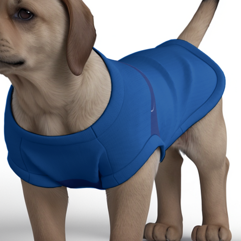 Chelsea FC 25/26 Home Inspired Pet Graphic Tee Shirt (Sizes XS-Small)