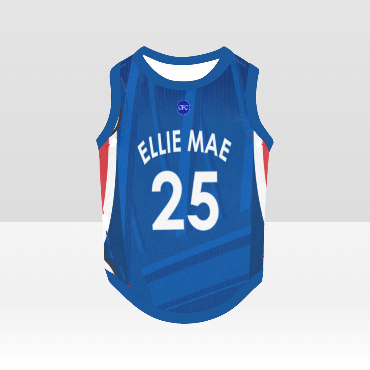 Chelsea FC 25/26 Home Kit Inspired Personalized Tank