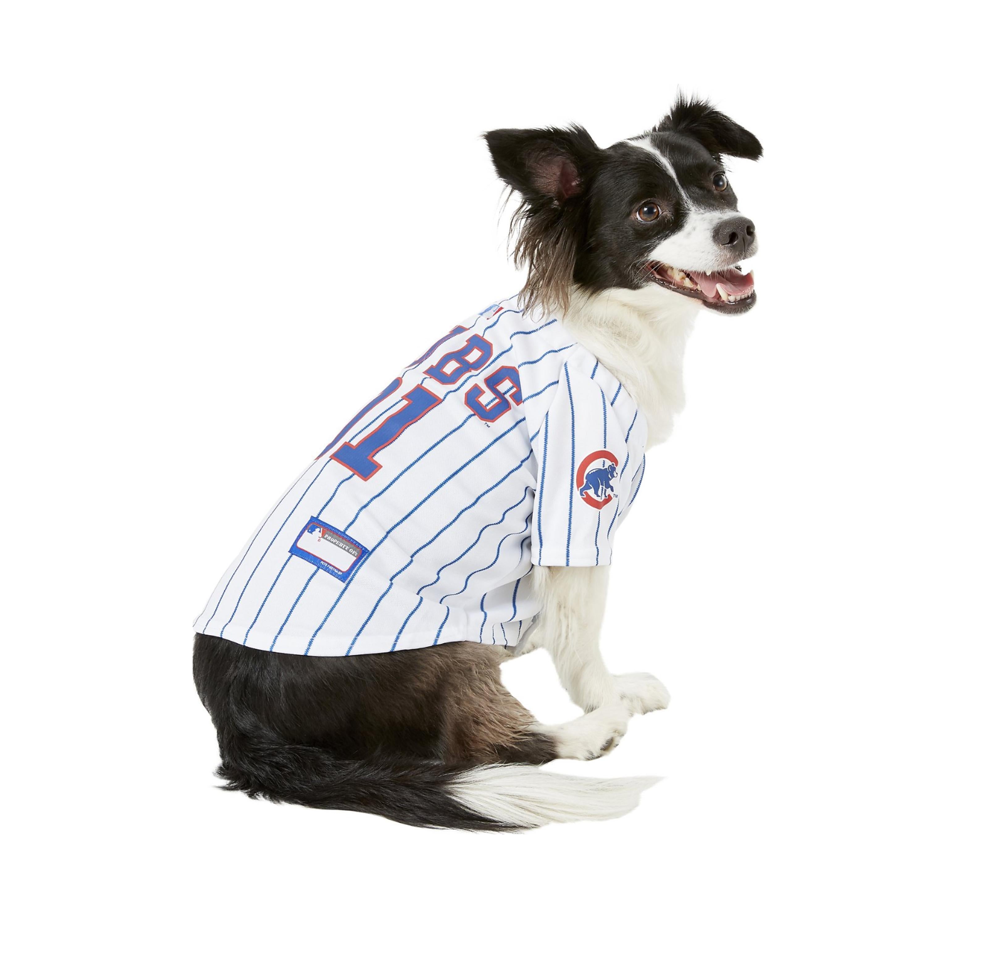 Cubs 2024 dog shirt