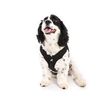 Escape Free Easy Fit Harness