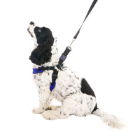 Escape Free Sport Harness