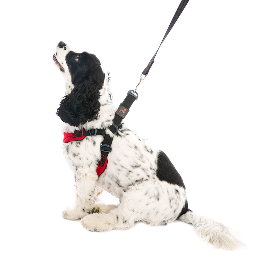 Escape Free Sport Harness