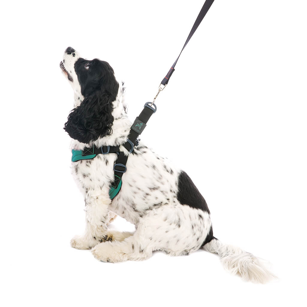 Escape Free Sport Harness