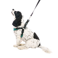 Escape Free Sport Harness