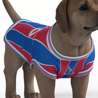 Crystal Palace FC 25/26 Home Kit Inspired Personalized Tank